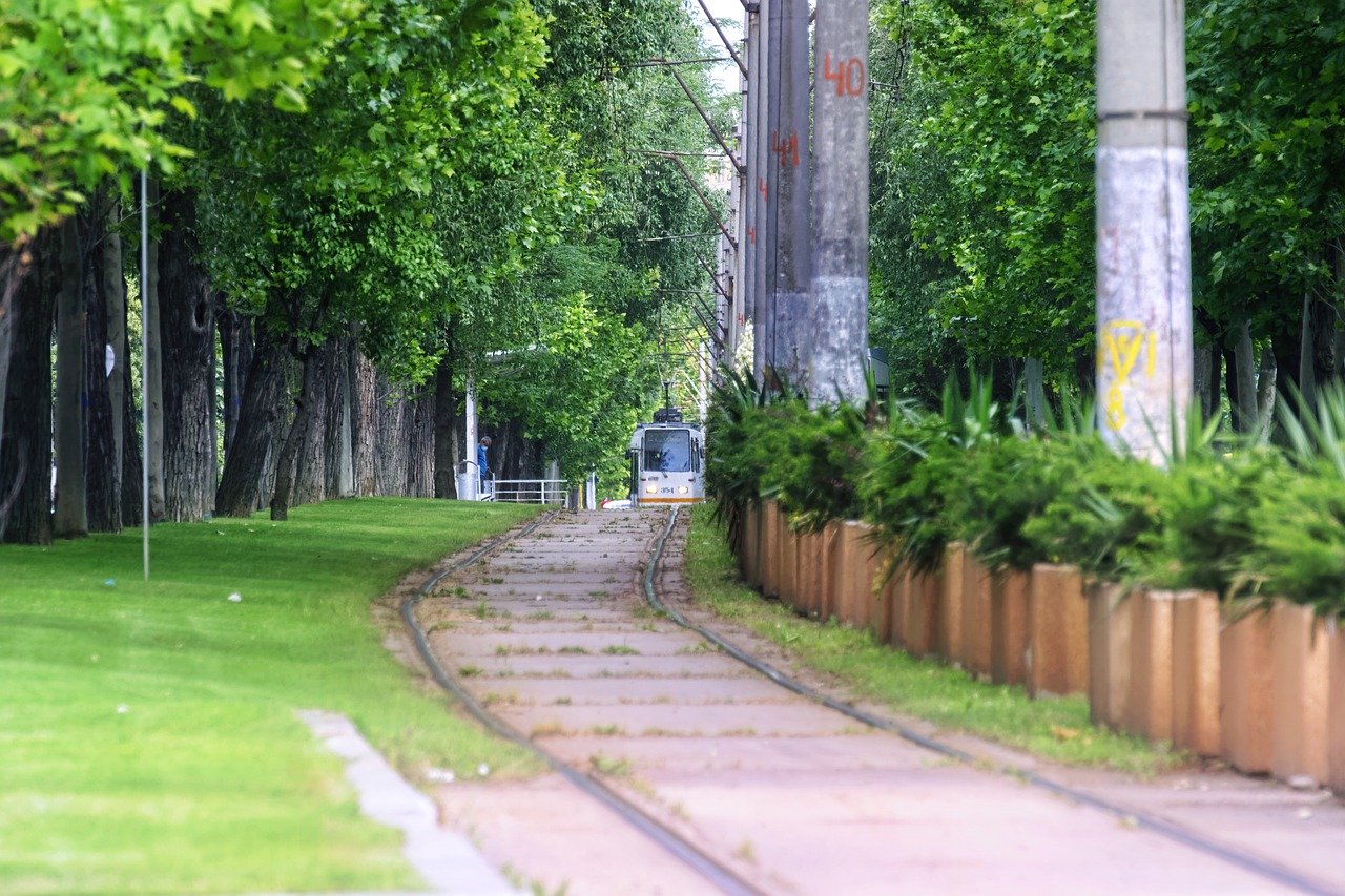 Urban Nature. A ottobre la festa del WWF dedicata alla natura in città