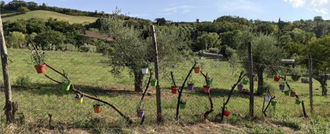 Scorcio Fair Play Garden
